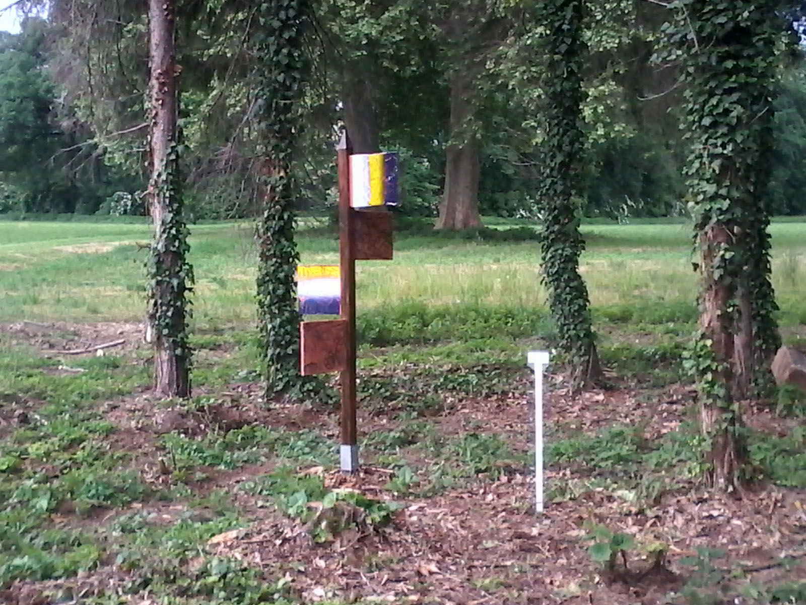 Alberi geometrici — Castello di Piovera, 8 maggio 2015